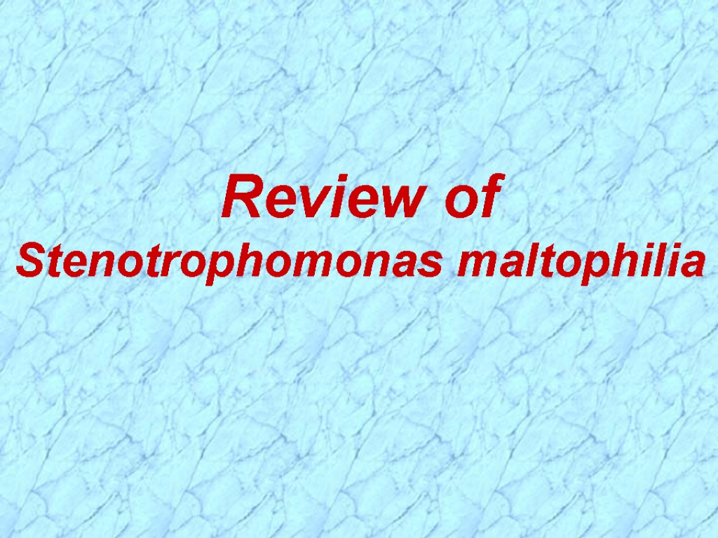Review of Stenotrophomonas maltophilia